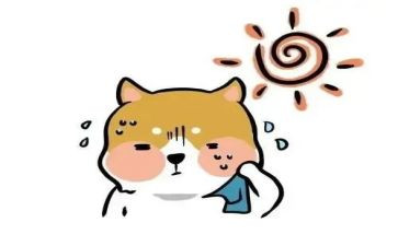 上热门心得体会5篇