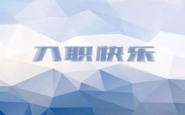 新入职员工个人年终总结5篇