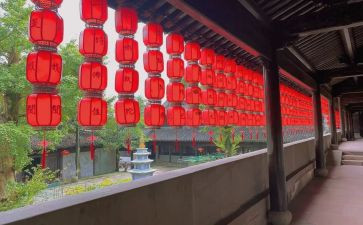三年级语文教育教学工作总结7篇