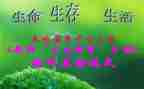 初三生活作文600字模板6篇