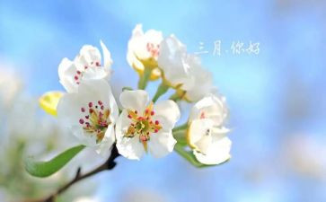 幼儿教师三月工作总结7篇