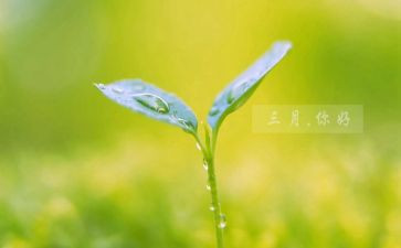 三月的工作总结8篇