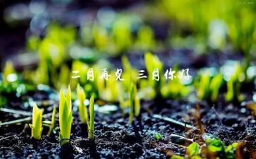 中班三月份工作总结优秀8篇