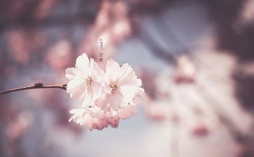 幼儿教师三月心得5篇