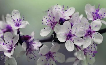 幼儿园教师三月份工作总结5篇