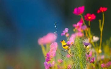 近三月思想汇报7篇