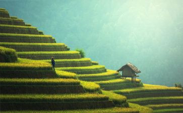 去扫墓心得体会优质6篇