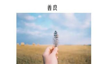 2024年营养改善计划工作总结7篇