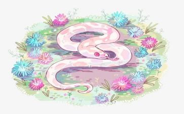 我喜欢蛇的作文优质7篇