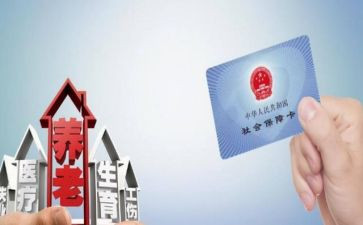 社保工作总结个人总结7篇