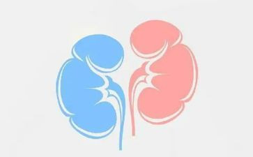 肾内科2023年工作计划最新6篇