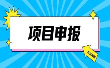 高级申报工作总结6篇