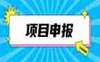 高级申报工作总结6篇