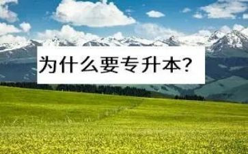 专升本毕业生鉴定表自我鉴定参考8篇