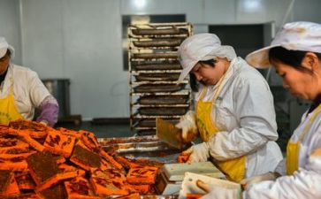 半年度安全生产工作总结最新7篇