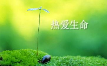 心理课生命心得体会6篇