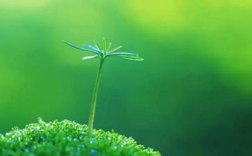 生命教育心得体会推荐5篇