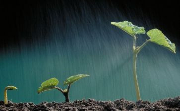 生命与安全讲话稿8篇
