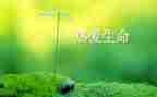 关于生命的作文5篇