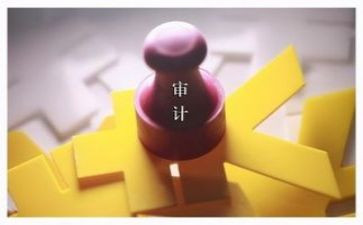 审计员个人总结8篇