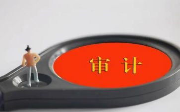 审计2024年上半年工作总结8篇