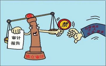 审计半年度工作总结优秀7篇