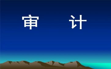 审计半年度总结模板8篇