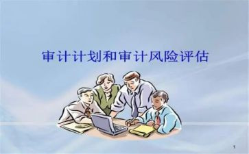 审计半年度工作总结8篇