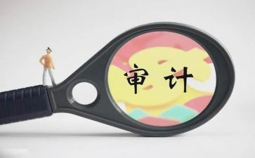 审计员年终总结范文5篇