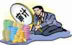 对审计培训的心得体会模板6篇