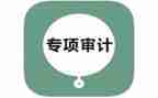 审计半年度总结8篇