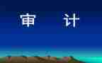 审计半年度总结模板8篇