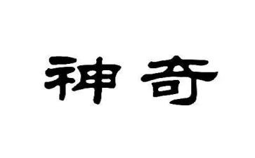 神奇的车作文300字模板7篇
