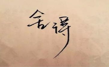 舍与得心得体会模板5篇