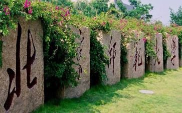 北师大版教案6篇