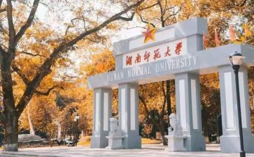 师范生毕业心得体会6篇