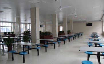 食堂的调查报告6篇