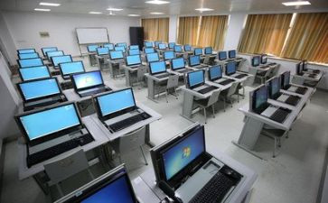 实训报告总结报告8篇