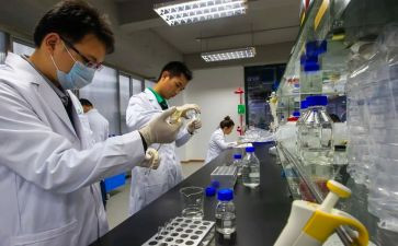 试验检测工作个人总结8篇