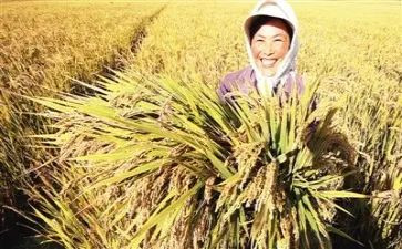 实习收获与心得体会通用8篇