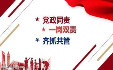 一岗双责工作报告8篇