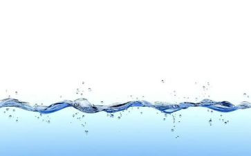 网络水心得体会参考7篇