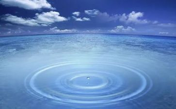 水生态环境调查报告7篇
