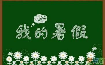 暑假调查报告6篇