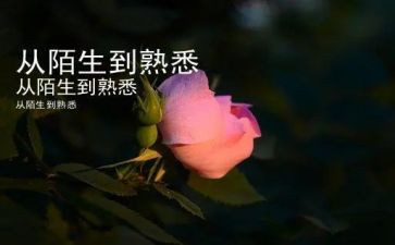 我熟悉的人200作文模板8篇
