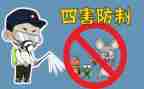 局除四害工作总结通用5篇