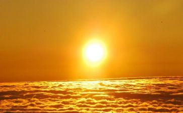 《太阳》读后感参考5篇