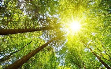 太阳船读后感5篇