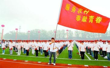 特岗教师的心得体会推荐7篇