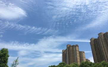 雨过会天晴作文600字5篇
